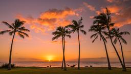 Find cheap flights to Honolulu