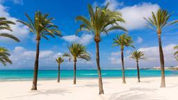 S'Arenal hotel directory