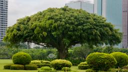 Haikou hotel directory