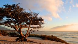 Find cheap flights to Carmel-by-the-Sea