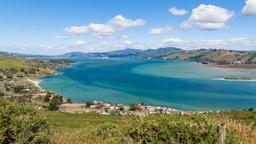 Dunedin hotel directory