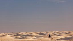 Find cheap flights to Tunisia