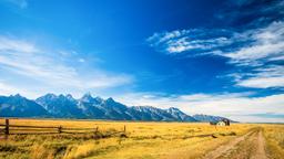Find cheap flights to Jackson