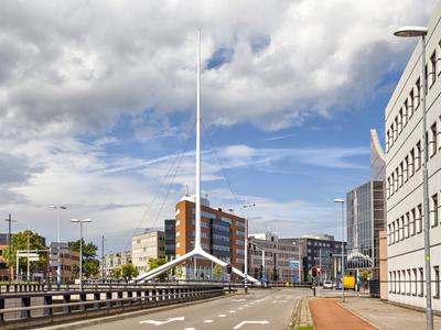 Cheap Flights To The Netherlands From 99 Kayak