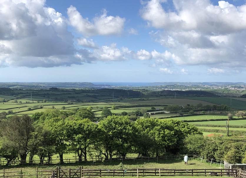 Outdoors view Photo