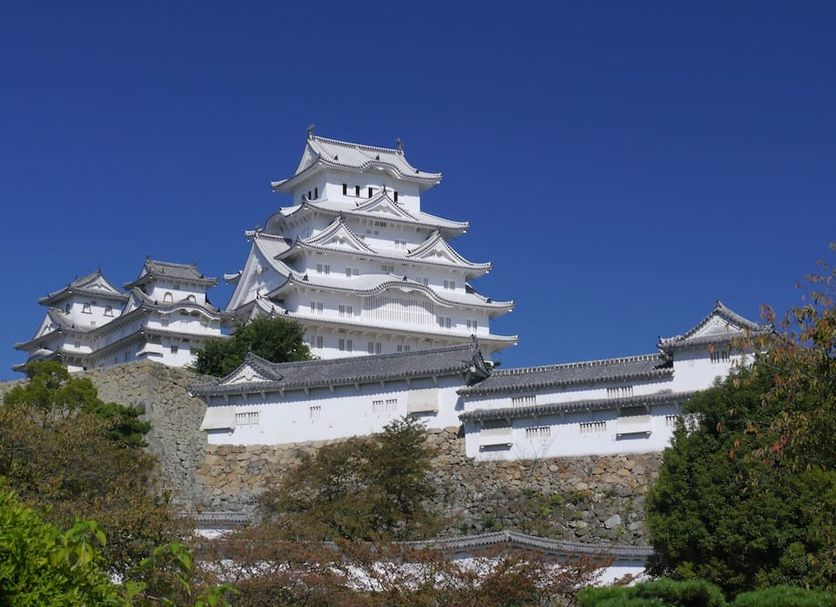 Other Photo