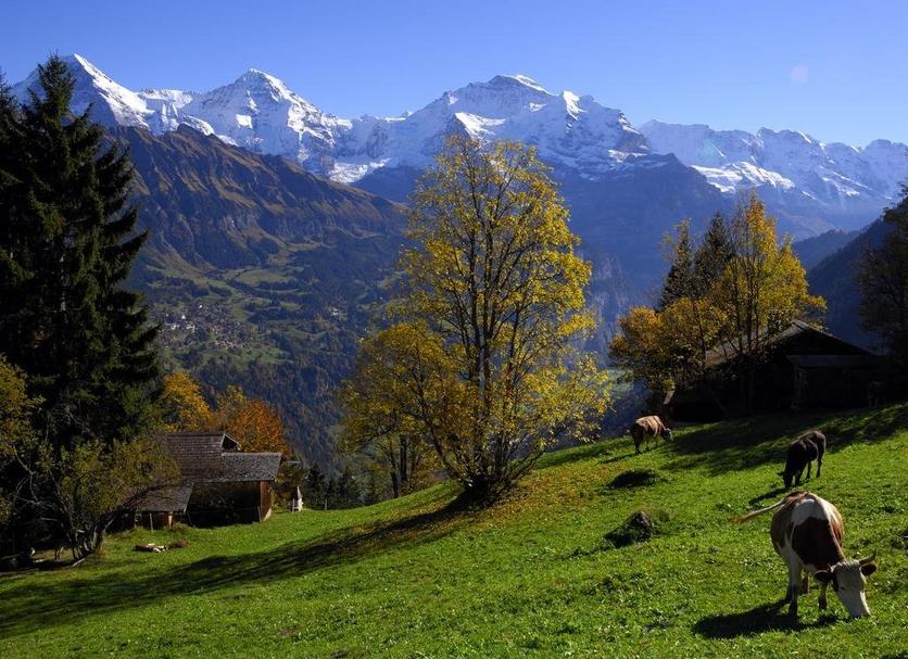 Outdoors view Photo