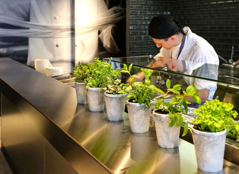 Restaurant Photo