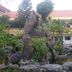 Outdoors view