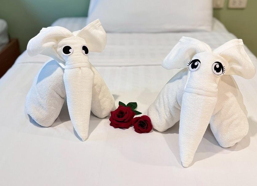 Room amenity Photo
