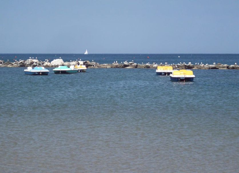 Other Photo