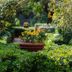 Outdoors view