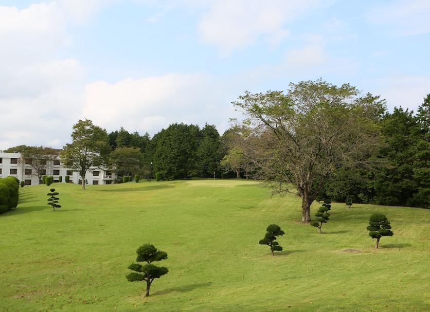 Outdoors view Photo