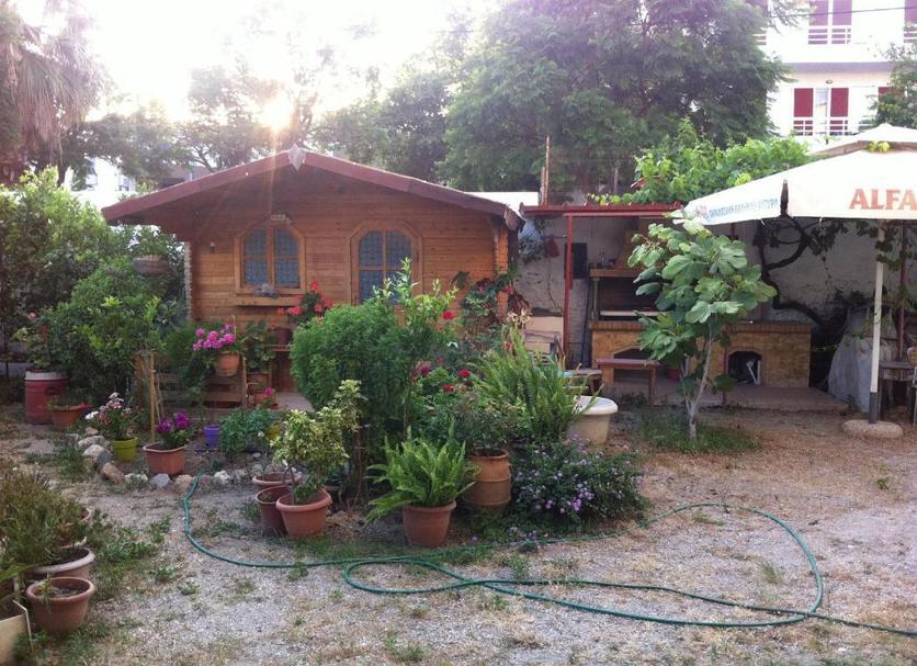 Other Photo