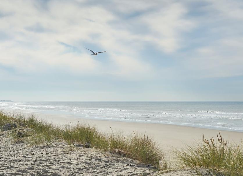 Beach Photo