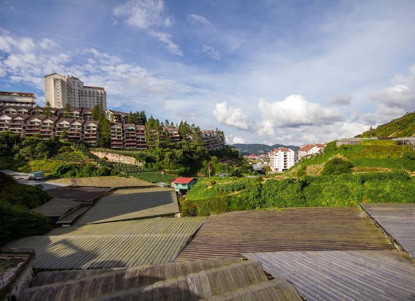 Outdoors view Photo