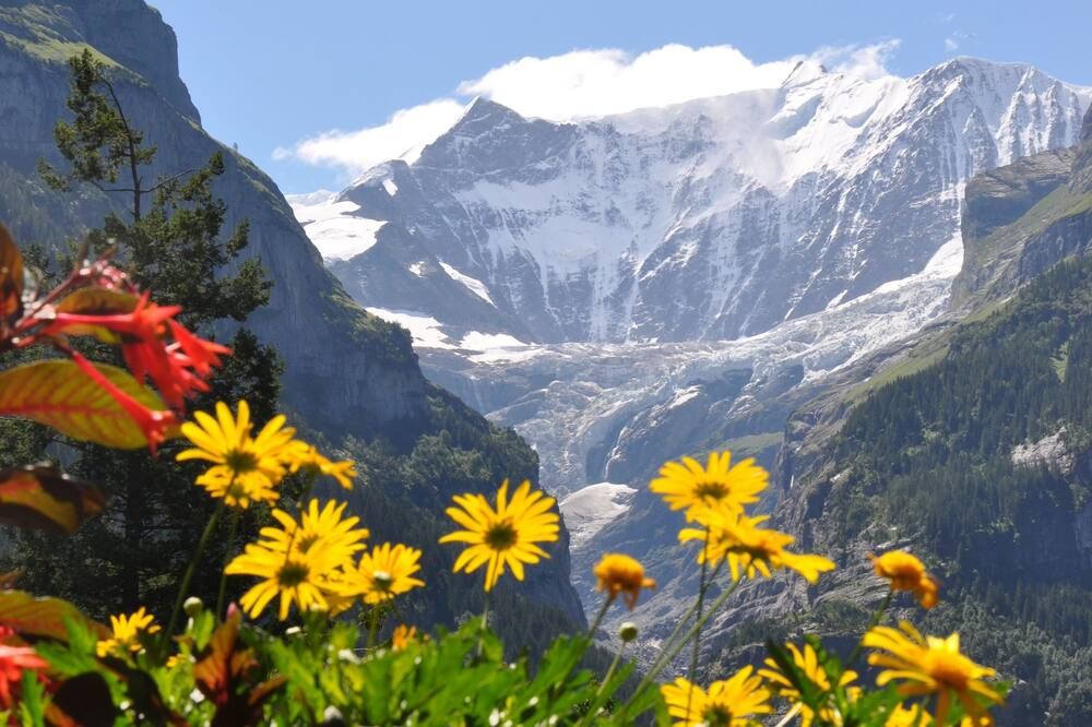 Outdoors view