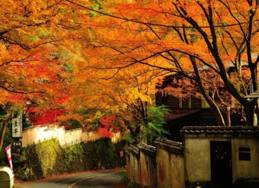 Outdoors view Photo