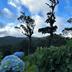 Outdoors view