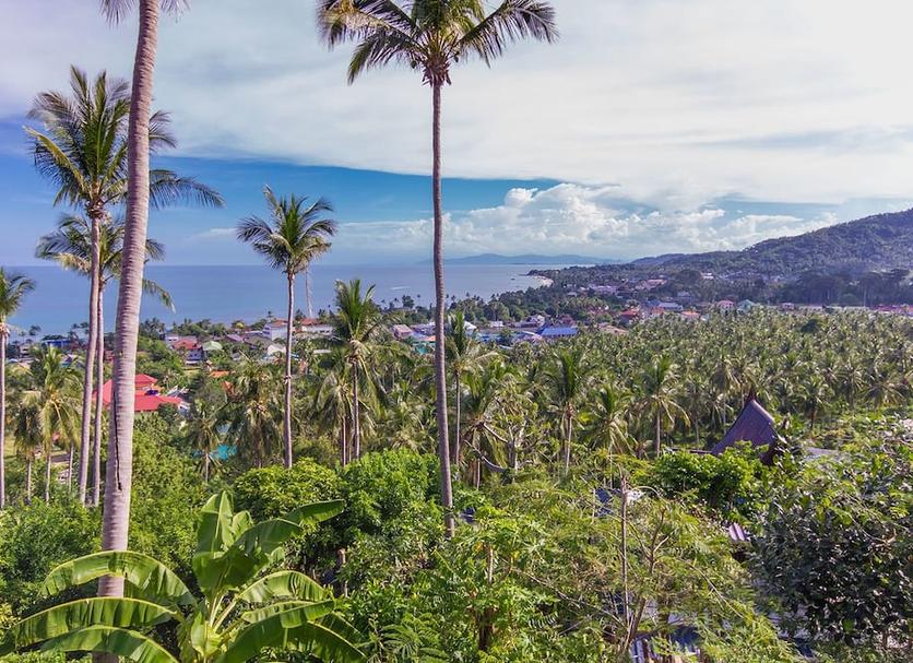 Outdoors view Photo