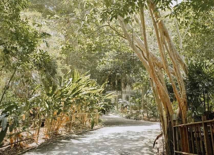 Outdoors view Photo