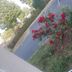 Outdoors view