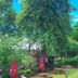 Outdoors view
