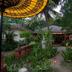 Outdoors view