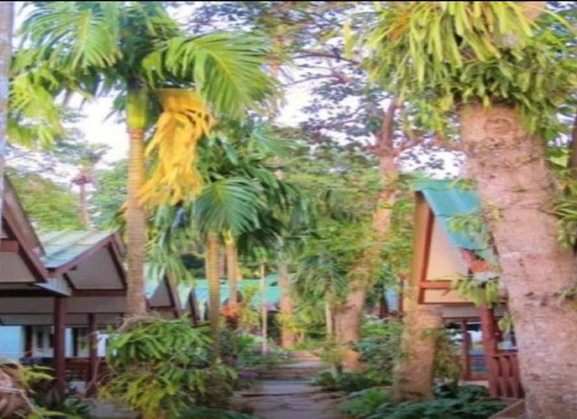 Outdoors view Photo