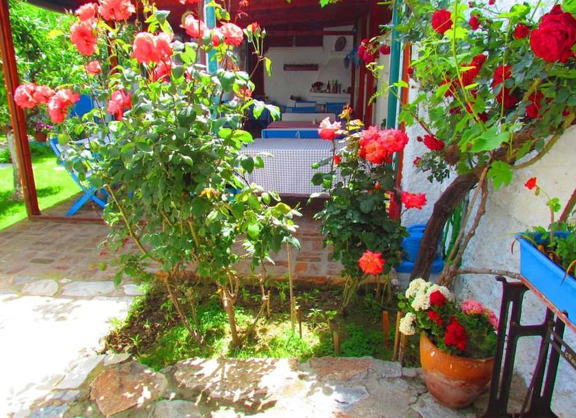 Outdoors view Photo