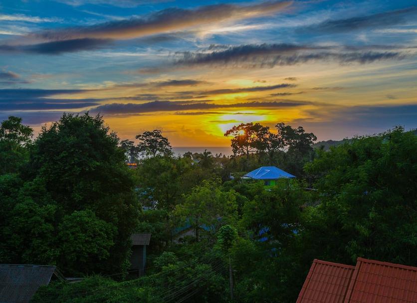 Outdoors view Photo