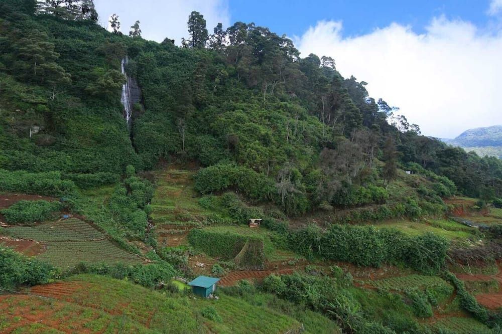 Outdoors view