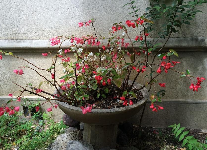 Outdoors view Photo