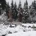 Outdoors view