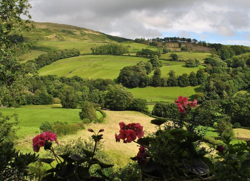 Outdoors view Photo