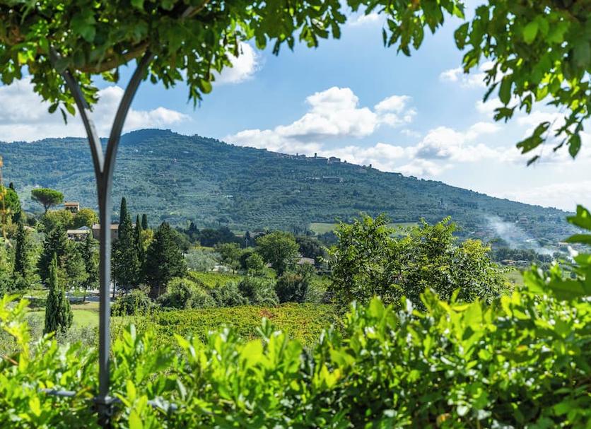 Outdoors view Photo
