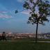 Outdoors view