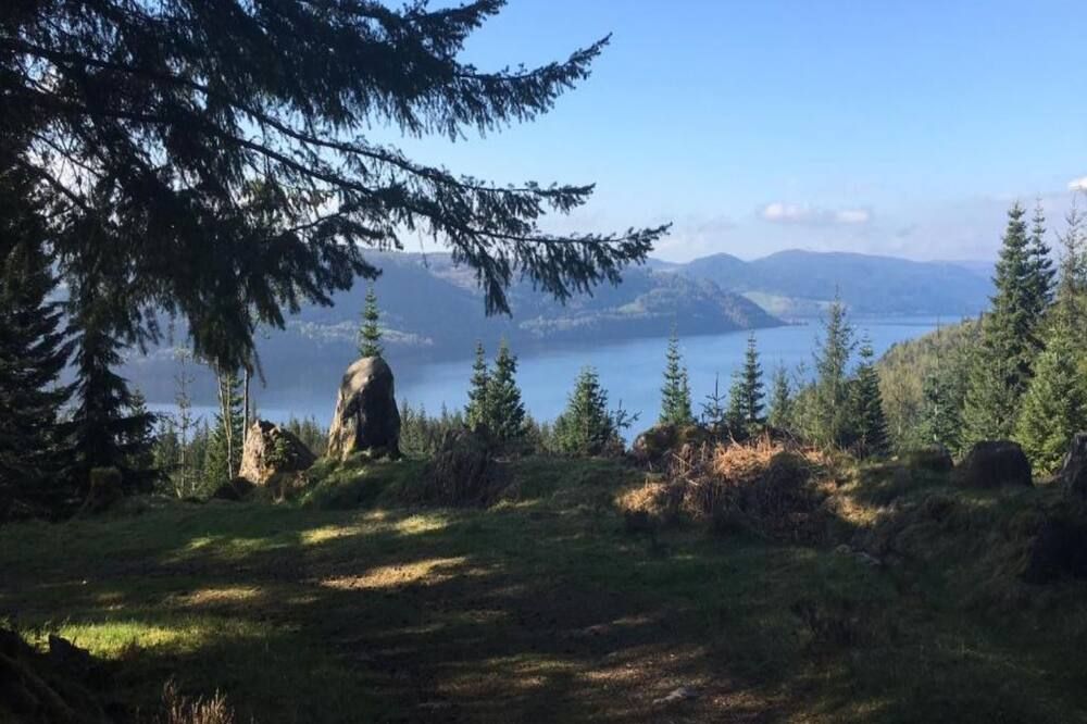 Outdoors view