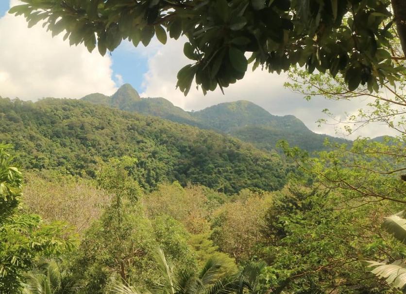 Outdoors view Photo