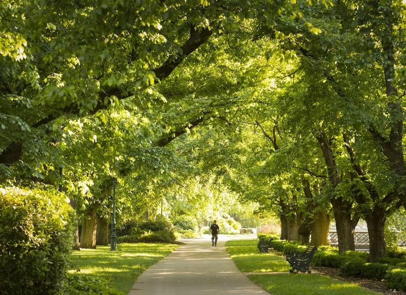 Outdoors view Photo