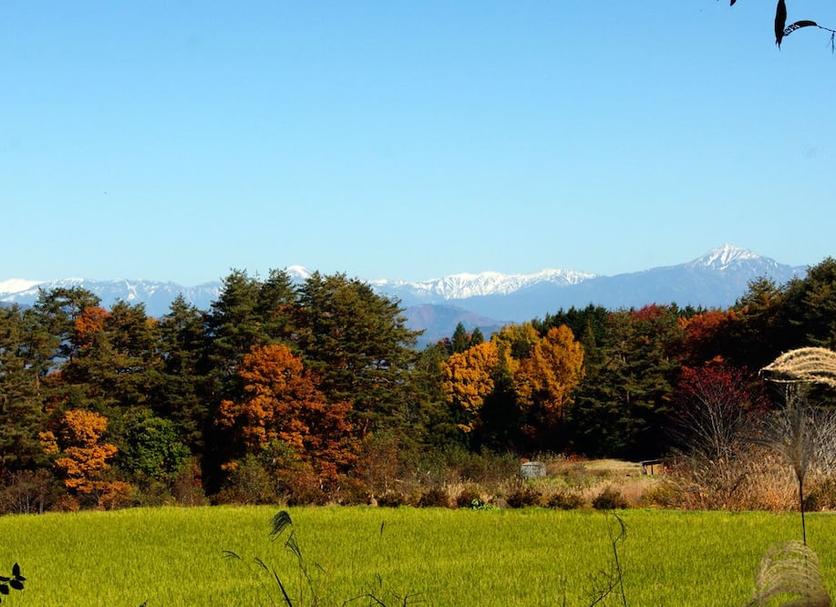 Outdoors view Photo