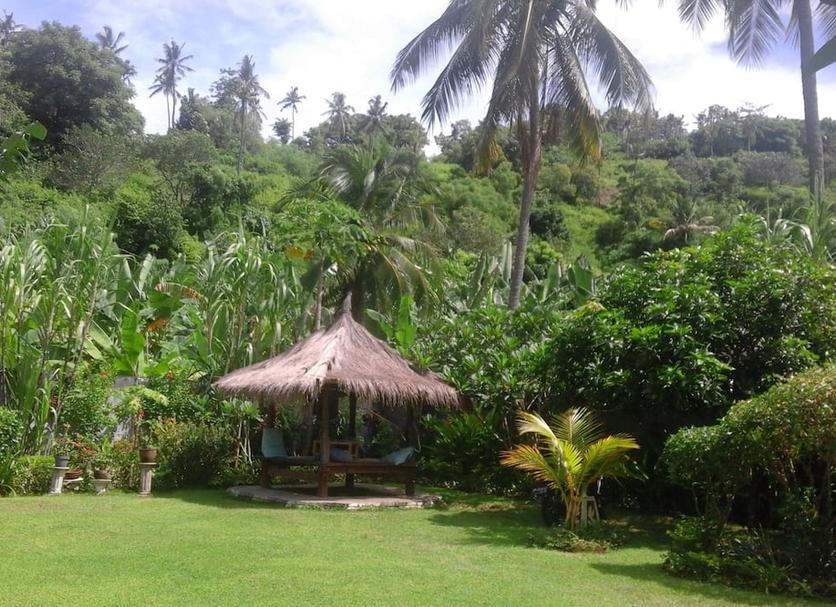 Other Photo