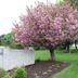 Outdoors view