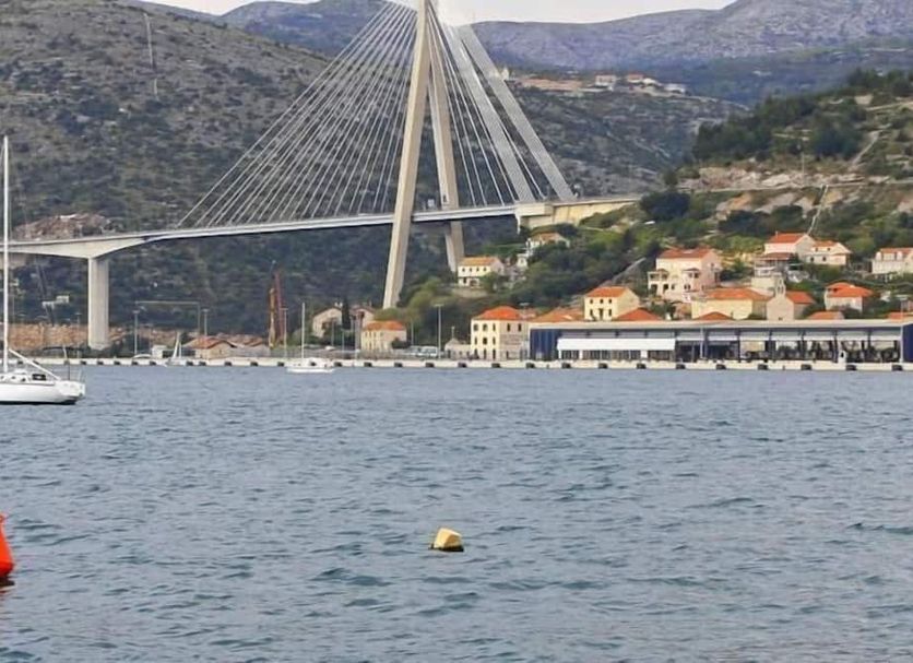 Other Photo