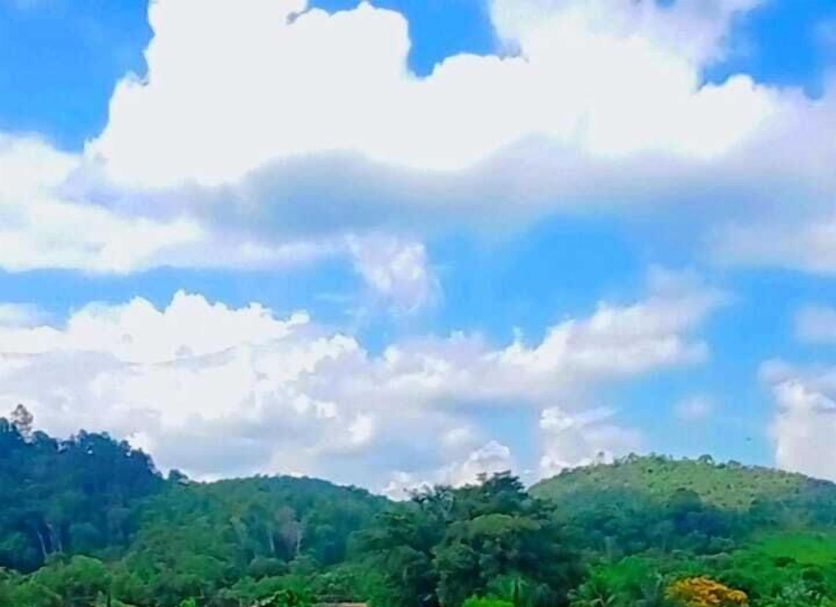 Outdoors view Photo