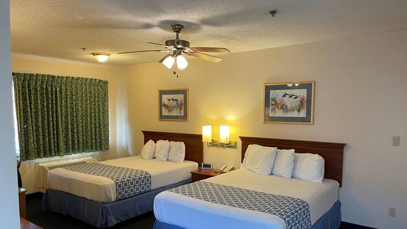 The Flamingo - South Padre Island