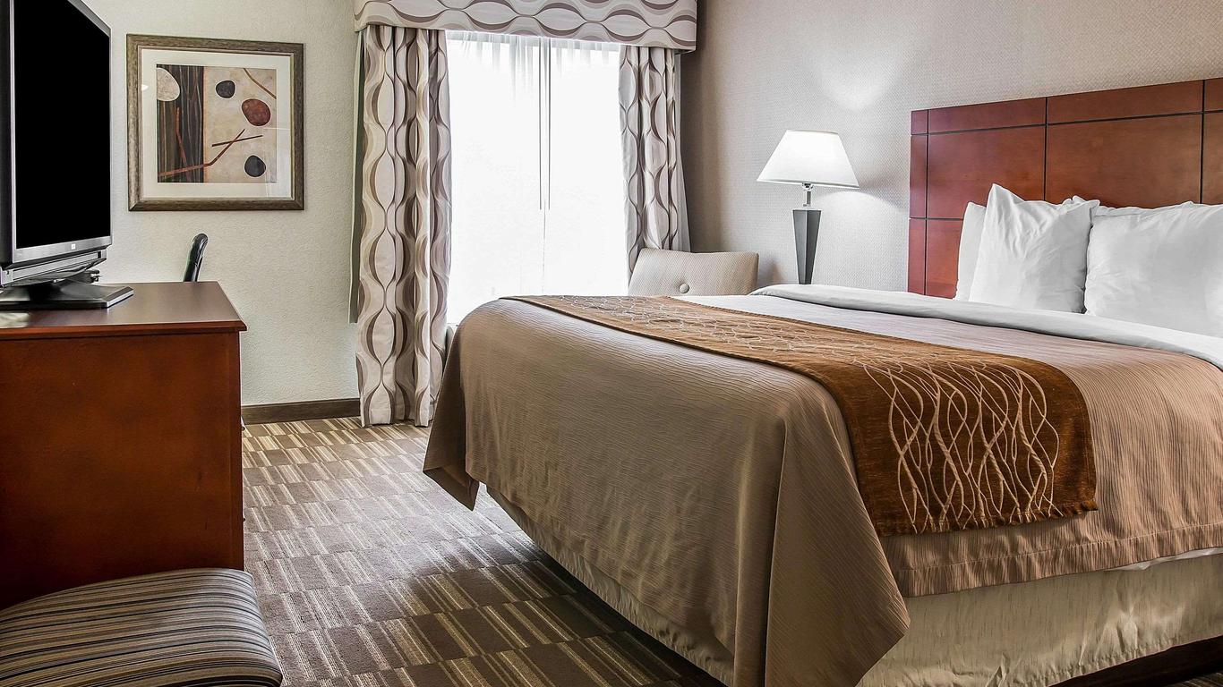 Comfort Inn & Suites University South
