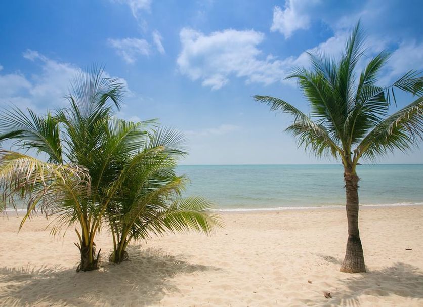 Beach Photo