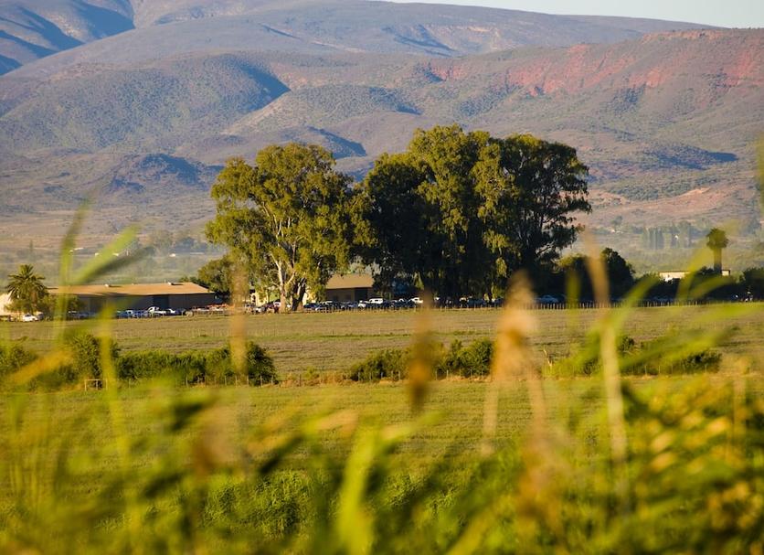 Outdoors view Photo