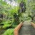 Outdoors view